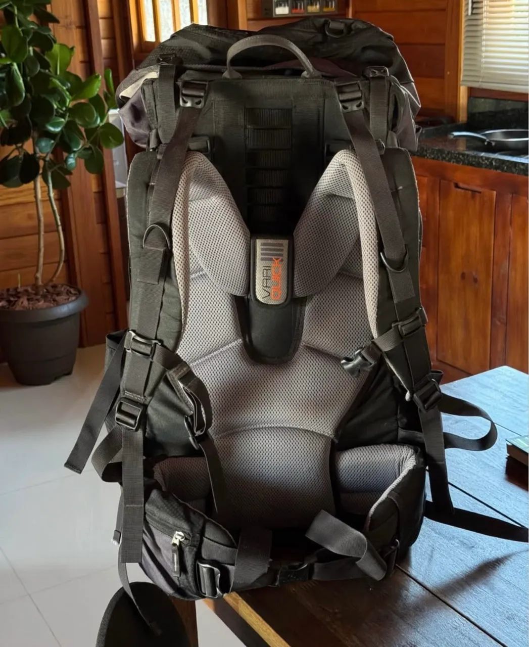 Mochila cargueira Deuter Quantum 70+10 - Foto 2
