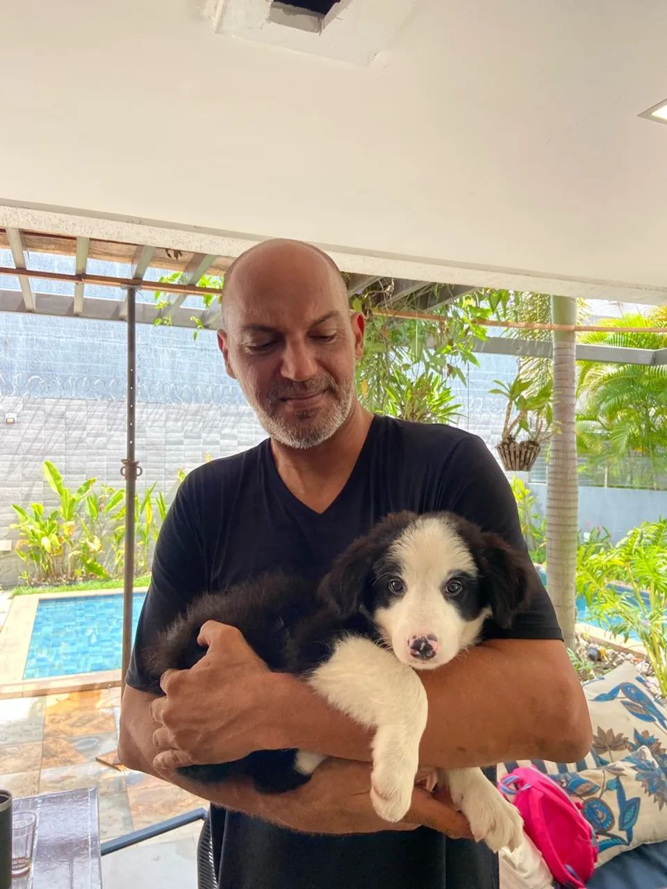 Adestramento de cachorros em João Pessoa