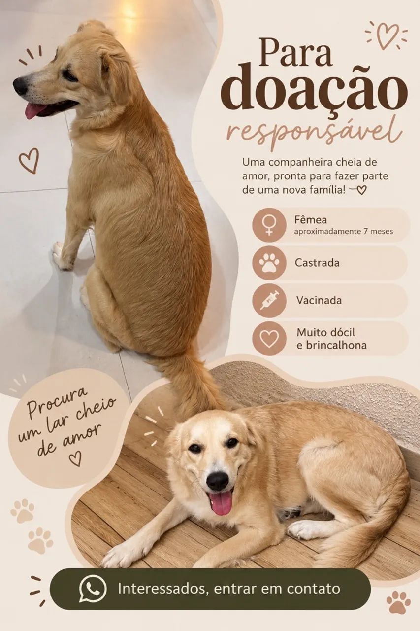 CADELA PARA ADOÇÃO RESPONSÁVEL