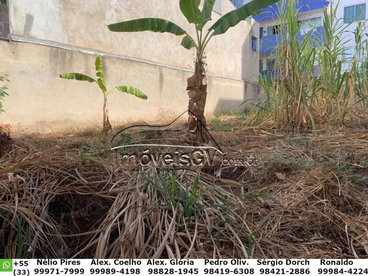 Lote - Santos Dumont - Foto 2