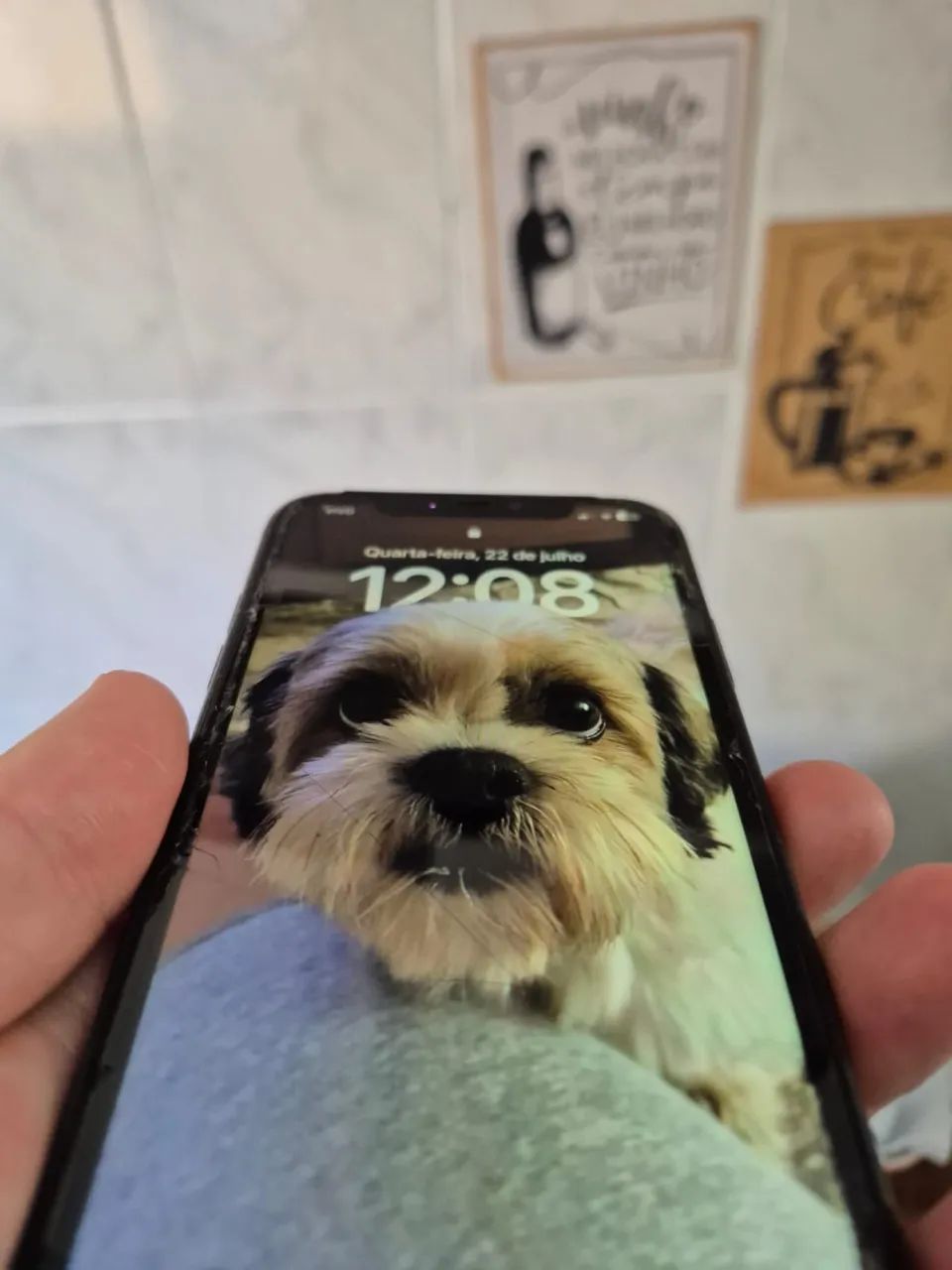iPhone 11 64 gb usado - Foto 2