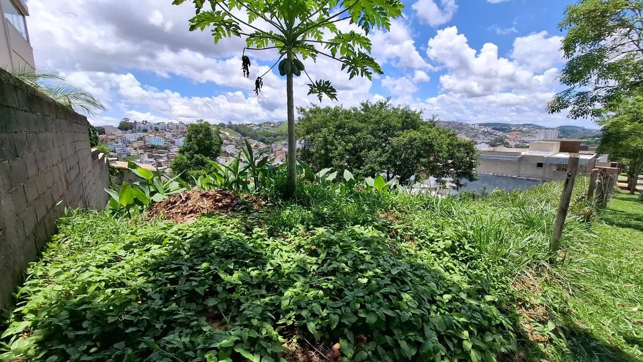 Lote / Terreno - São Pedro - Foto 5
