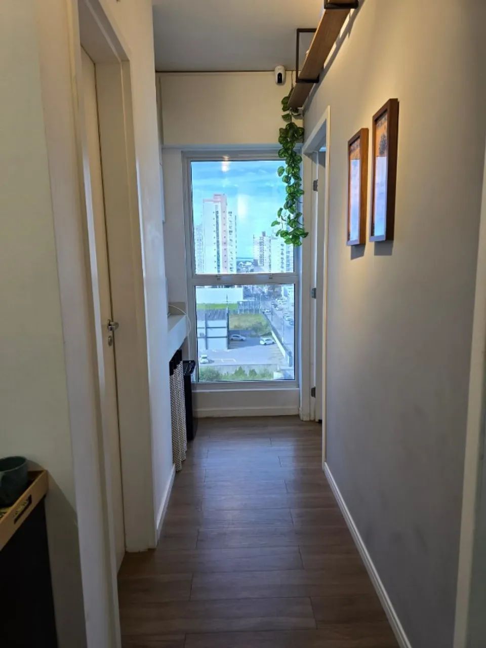 Aluguel sala comercial palhoça - pagani - Foto 4