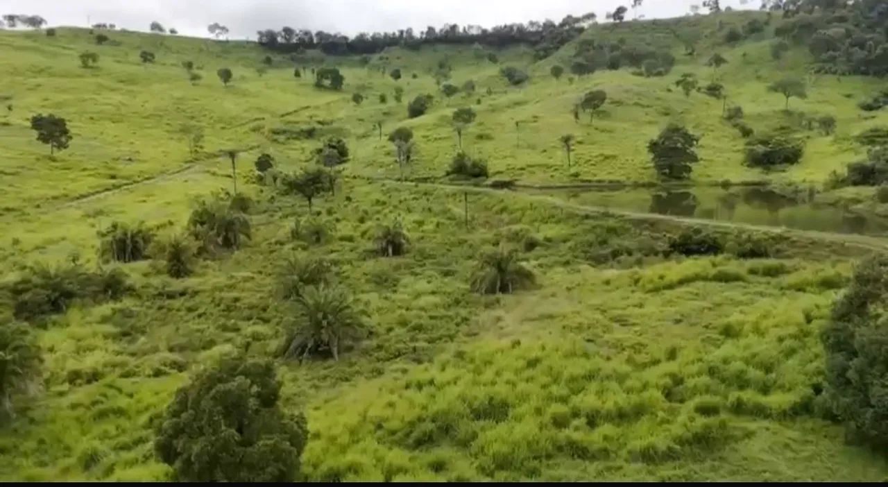 Fazenda à venda  ! 10 km da br 153 ! ? - Foto 3