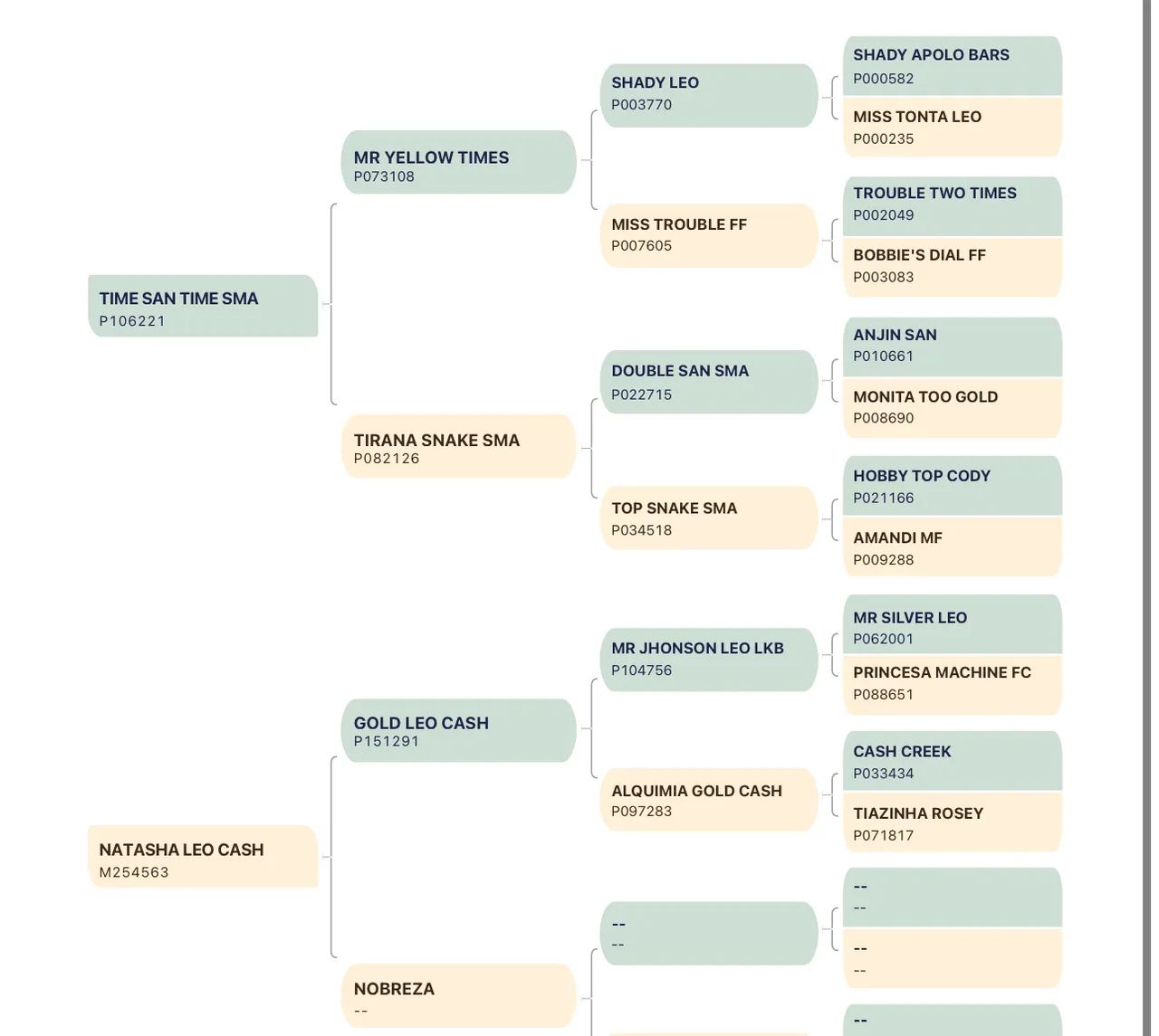Potro QM 3/4. Oportunidade  - Foto 2
