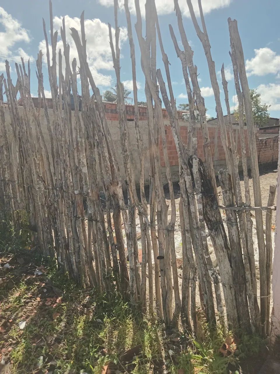 Vendo casa com 7 de largura e 35 comprimemto E terreno  com 7 largura. Em Sapucai Sergipe. - Foto 5