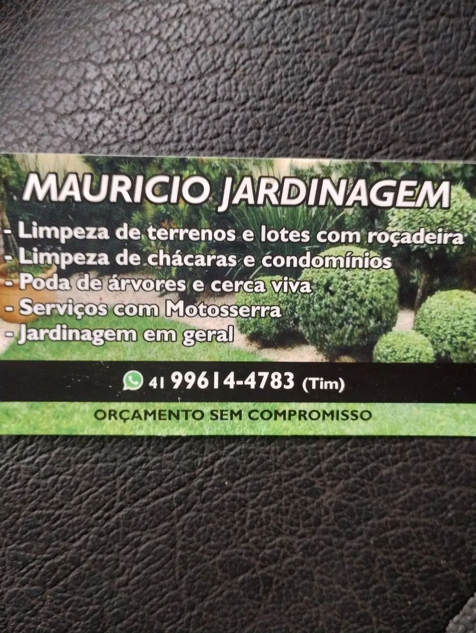 Jardim 