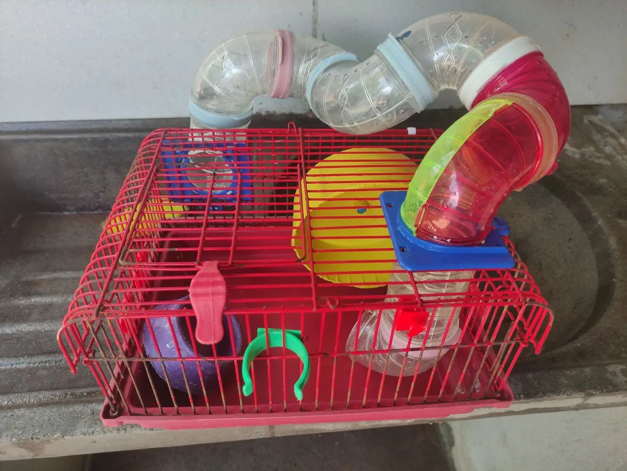 Casa de hamster completa  - Foto 2