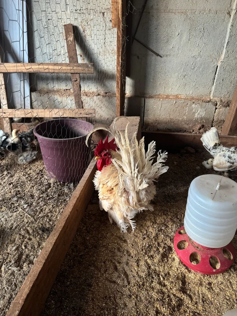 Garnize  - Foto 2