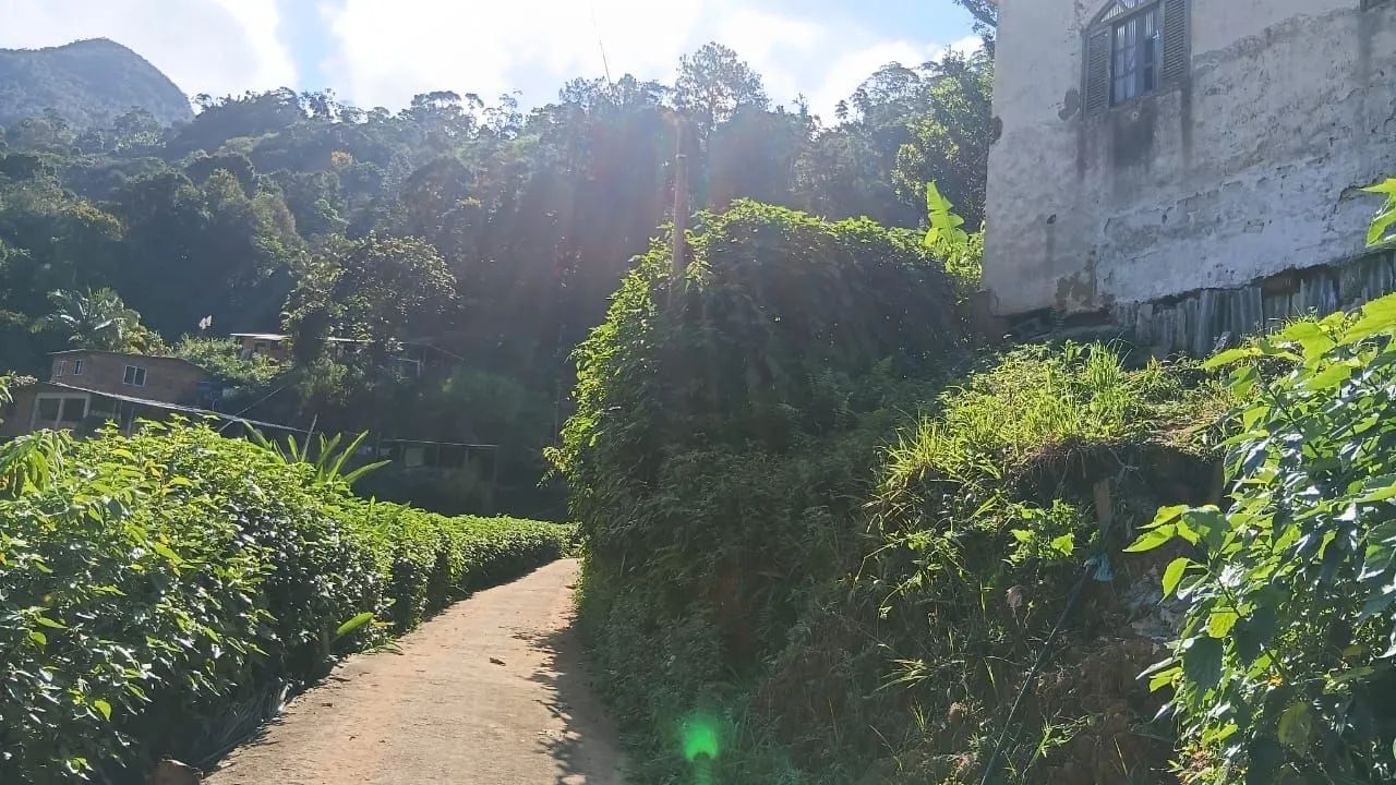 Casa a venda ,precisa de reformas. - Foto 5