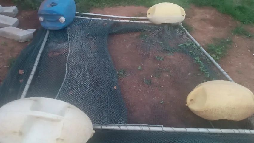 Tanque rede gaiola para peixes