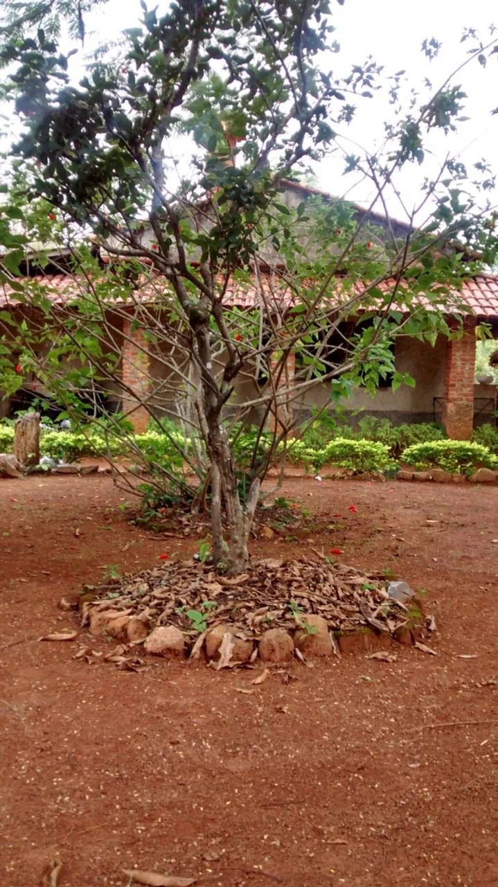  Sitio em Lagoa Santa - Foto 5