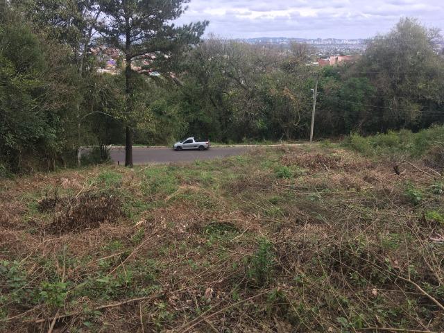 Terreno 700M2 Novo Hamburgo
