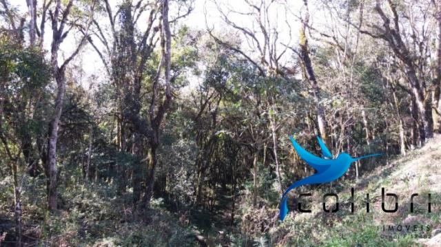 Terreno para formar chácara de lazer em Agudos do Sul - PR - Foto 13