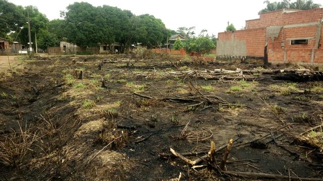 Terreno - Foto 2