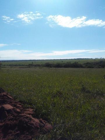 Terra para lavoura 30 km de Campo Grande - Foto 8