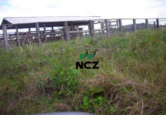 Fazenda à venda, 10960000 m² por r$ 5.000.000,00 - villas de são josé - itacaré/ba - Foto 4