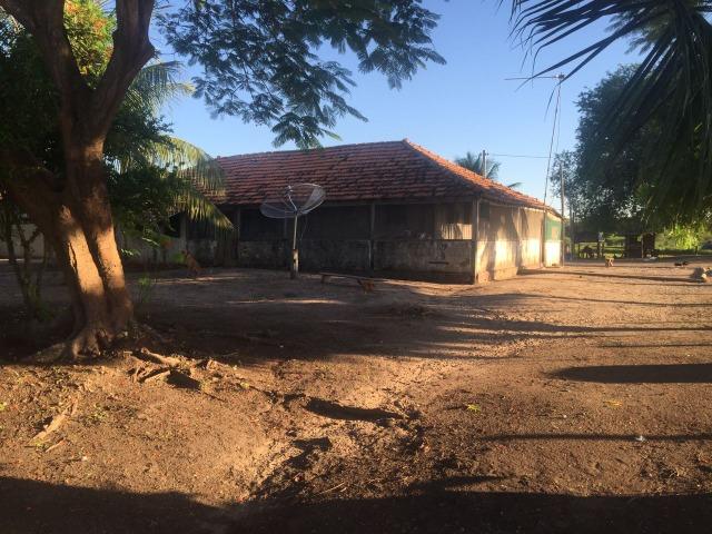 Fazenda no Pantanal MS 1826 hectares - Foto 3