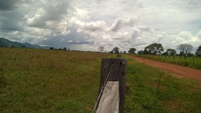 Fazenda - 1800 Hectares - Nossa Senhora do Livramento/MT - Foto 10