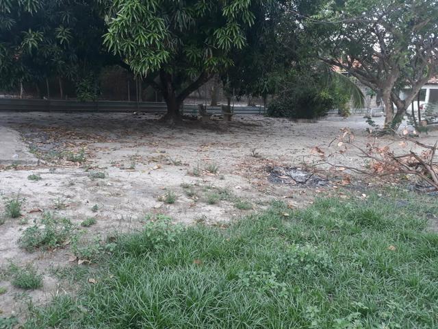 Vendo esta chácara no Aracagi - Foto 3