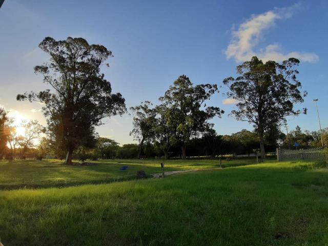 Sítio 2,9hec, no asfalto Lami POA/Itapuã, junto à rotatória, ótimo ponto comercial - Foto 5