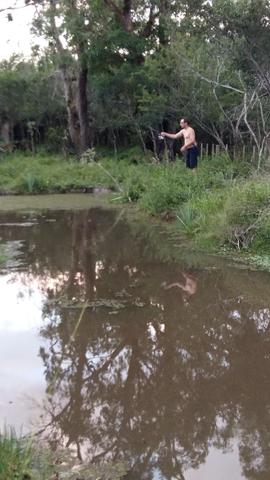 Sítio 2,9hec, no asfalto Lami POA/Itapuã, junto à rotatória, ótimo ponto comercial - Foto 16