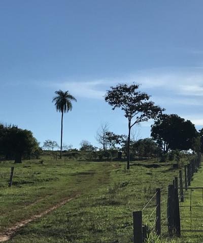 Chacrinha próximo ao jardim do Pimentel e Havan - Foto 2