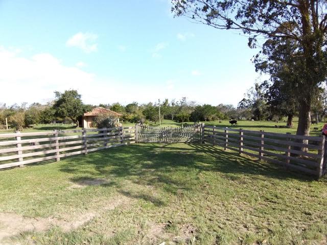 Sítio 2,9hec, no asfalto Lami POA/Itapuã, junto à rotatória, ótimo ponto comercial - Foto 11
