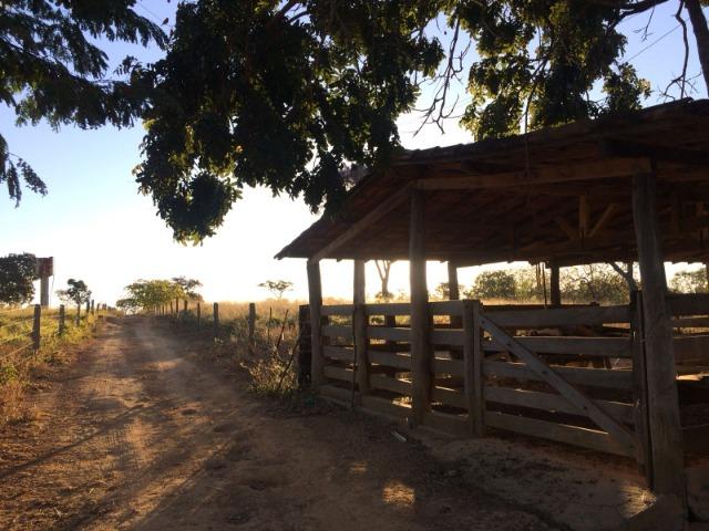 Chácara para venda em Formosa-GO - Foto 4
