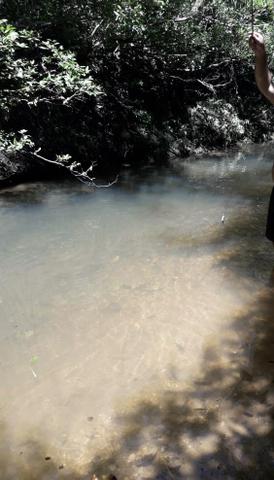 Chácara 3 hectares á venda beira do Rio dos Peixes Cuiabá - Foto 3