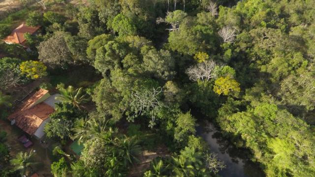 Chácara completa com 2 casas, piscina, pomar e ribeirão grande no fundo - Foto 8