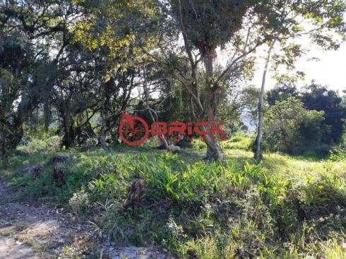 Excelente terreno plano com 21 mil m² em ótima localização em guapimirim. - Foto 4