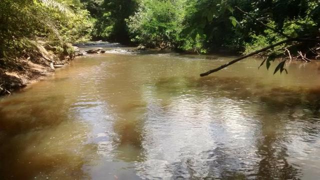 Chácara com 5 hectares no Rio Bandeira,com acesso de barco ao Rio Cuiabá - Foto 3