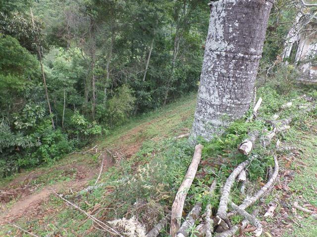 064 - Área de Terras nas Montanhas - Teresópolis - R.J - Foto 17