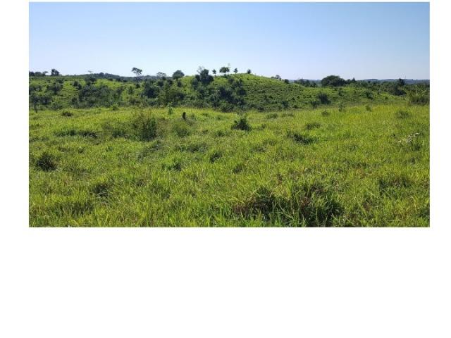 Paraíso,395 hectares, Beira Rio Manso,lazer, pescaria, moradia,Turismo. Oportunidade. - Foto 11