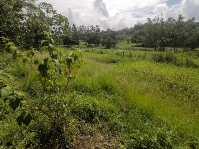 Sítio em Candeias com 9.174m2 - Foto 13