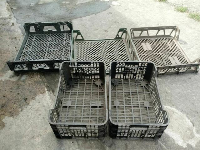 PREÇO CAIU Vendo esse kit ou separado DE 120,00 POR 100,00 PARA SAIR LOGO