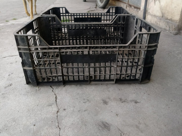 PREÇO CAIU Vendo esse kit ou separado DE 120,00 POR 100,00 PARA SAIR LOGO - Foto 4
