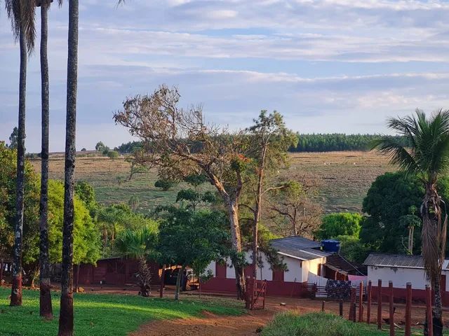 Fazenda de 15 alqueires  em Anápolis - Foto 2
