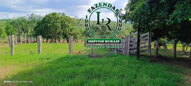 Fazenda 127 Alqueires  Dupla Aptidão Próximo a Palmas - Foto 5