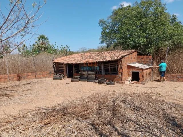 CÓD: 2559.  Propriedade Rural na RN 117 para Venda!   - Foto 4