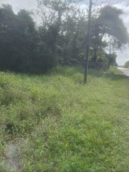 Terreno na Ilha Comprida - Foto 4