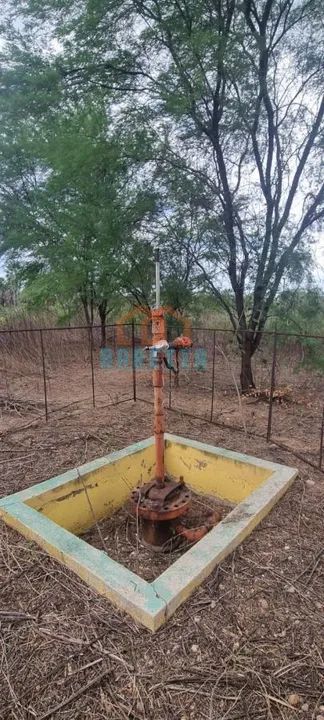 CÓD: 2559.  Propriedade Rural na RN 117 para Venda!   - Foto 5