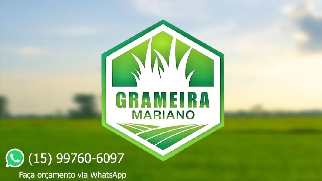 Grama para seu jardim - pronta para plantar - Foto 2