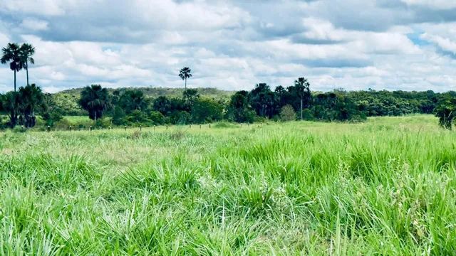 Fazenda em Rio Sono. Formada.