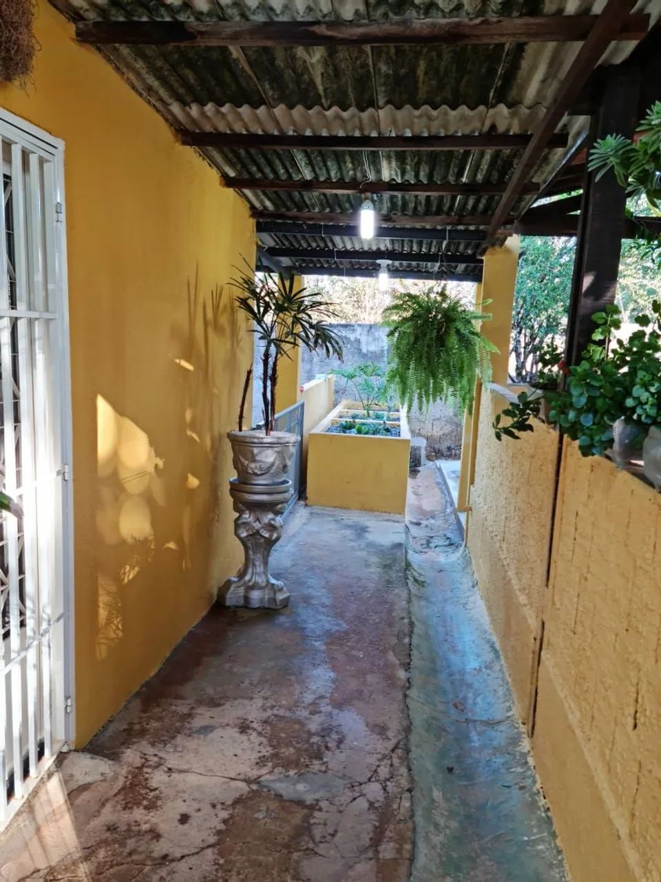 Vendo chácara formada ! - Foto 6