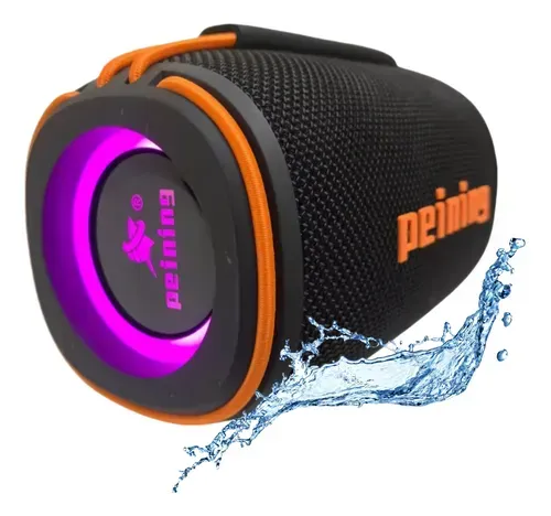 Caixa de som Original Peining 30w