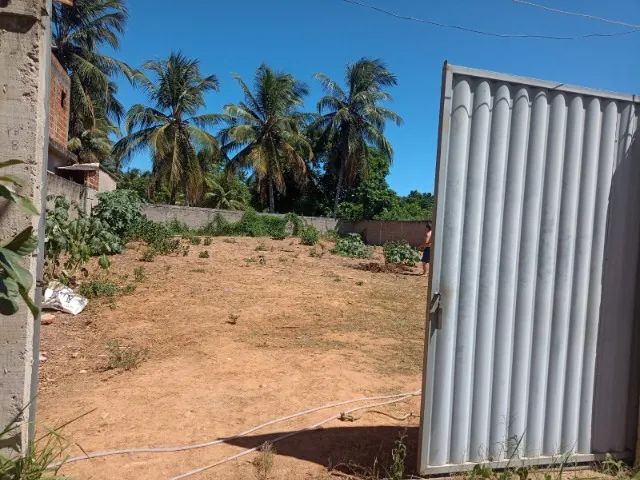 Terreno Scherrer 490 m2 - Foto 4