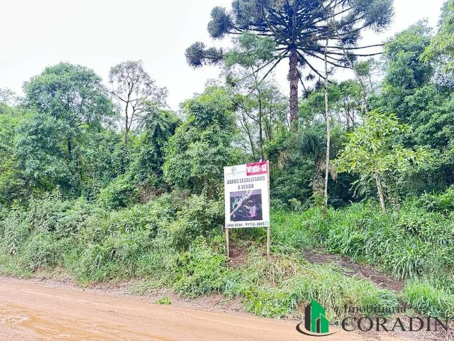 Área Rural para Venda em Bocaiúva do Sul / PR - Área total 20.196,66 m²