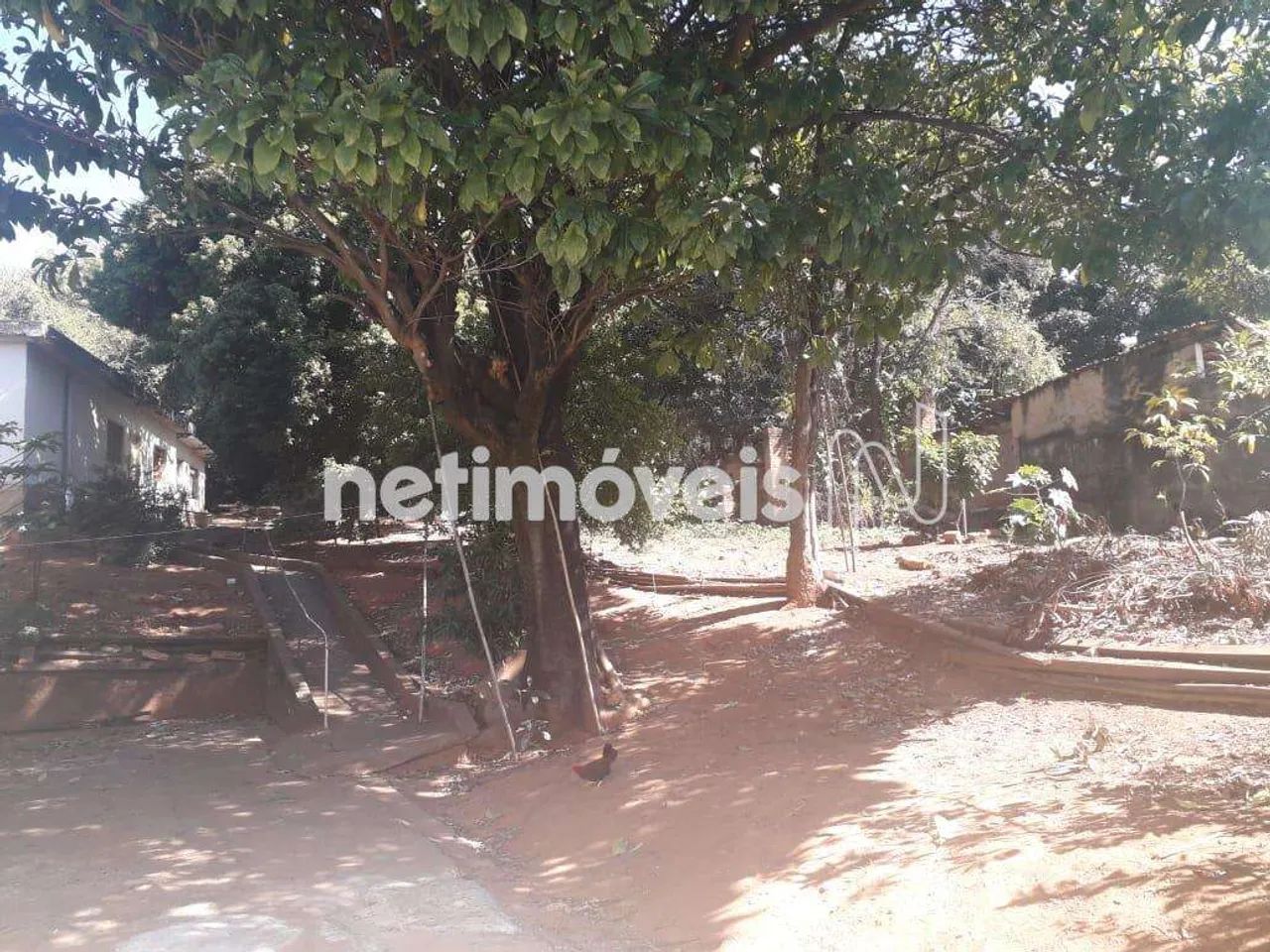 Venda Ponto comercial Venda Nova Belo Horizonte - Foto 4